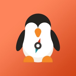 MercatorPenguin