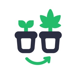 Bloombro - Grow Tagebuch