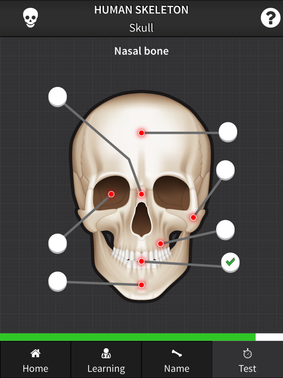 Screenshot #6 pour Human Skeleton: Beginner Bones