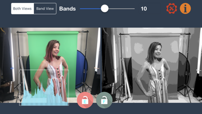 Screenshot #1 pour Perfect Green Screen