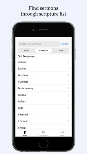 Metropolitan Tabernacle screenshot 4