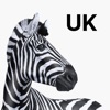 Investec UK icon