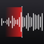 Voice Recorder: AI Transcribe