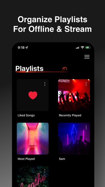 PoseMusic-Offline Music Player screenshot-4