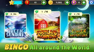 Bingo Star screenshot 3