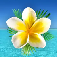 Prosperous Joy