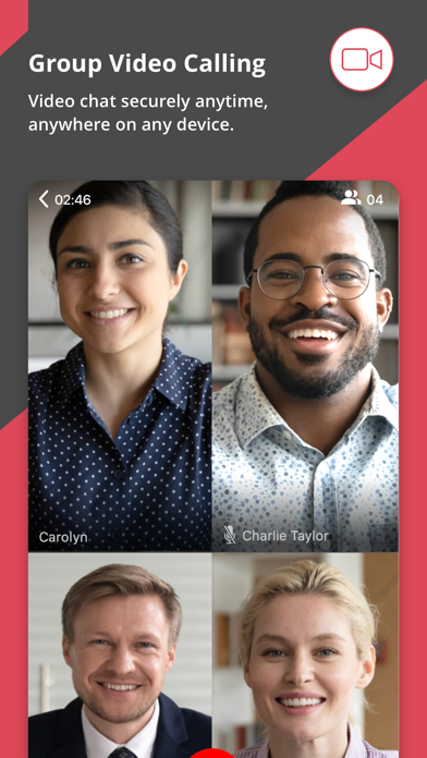NetSfere Secure Messaging Screenshot