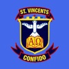 St Vincent’s, D11 icon