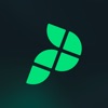 Playbypoint icon