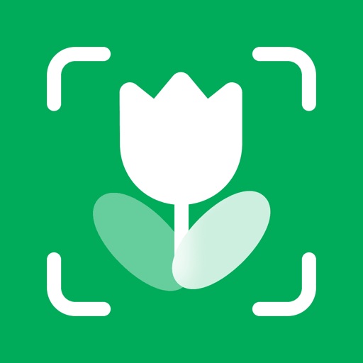 PlantScan: Plant Identifier