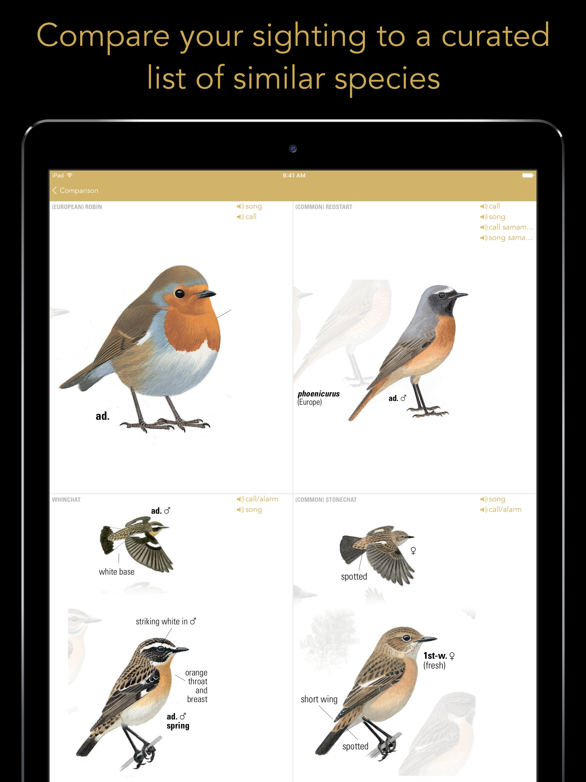 Collins British Bird Guide