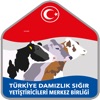 Alo Küpe icon