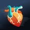 Healthye: Heart Rate Monitor