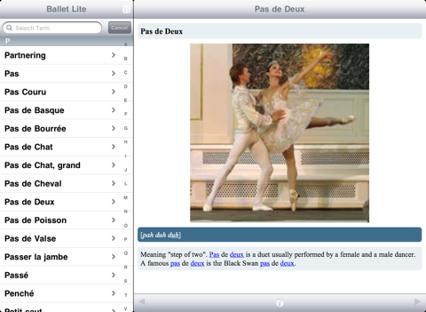 Screenshot #6 pour Ballet Lite
