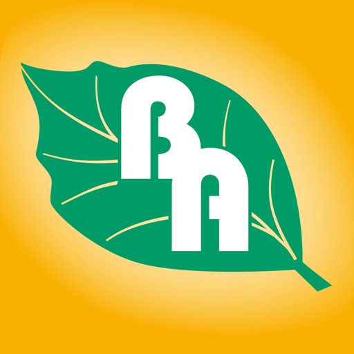 Buchen Apotheke Lohr