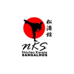 NK Sangalhos App Problems