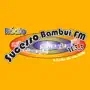 Rádio Sucesso Bambui 103 FM