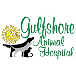 Gulfshore Animal Hospital