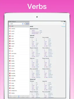 French Translator Dictionary + screenshot 12