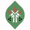 Алюшина Страсть icon
