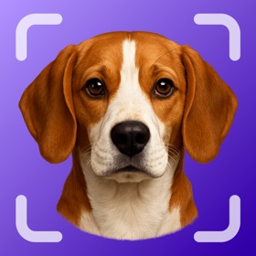 Dog Scanner Breed Identifier +