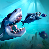 Fish Grow Evolution