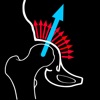 HipBiomechanicsApp icon