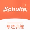 SchultePure icon