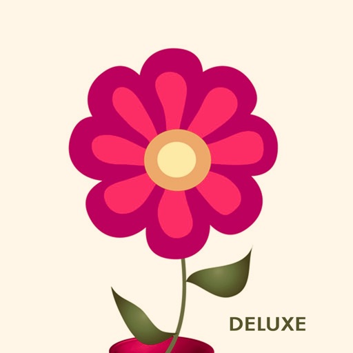 application icon