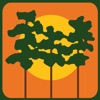 GoWellington icon