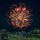 Fireworks Simulator 3D