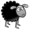 Poopy Sheep icon