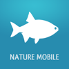 Fische PRO - Lexikon - NATURE MOBILE