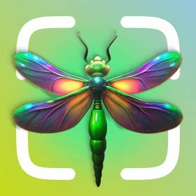 螢幕擷取畫面 (3) AI Insect Identifier, Bug App