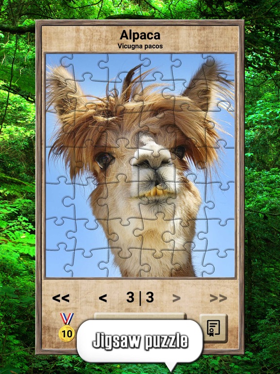 Animal Kingdom - Quiz Game iPad screenshot 8 - Games app