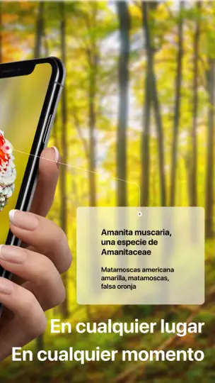 Captura de pantalla de Picture Mushroom：Setas/Hongos en iPhone 2