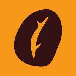 Coffy - Brew & Drink Coffee