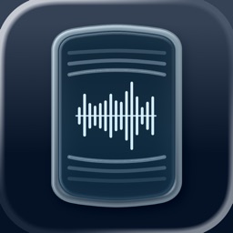 Voice to Text Pro - Transcribe