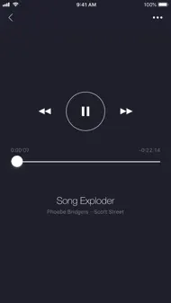Network - Podcast App iphone bilder 2