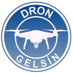 Dron Gelsin