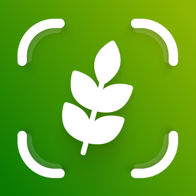 Gluten Scanner - AI Food