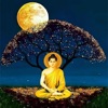 Buddha Purnima Greeting Quotes icon