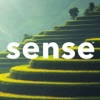 Sense: The HSP App