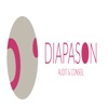 DIAPASON AUDIT ET CONSEIL icon