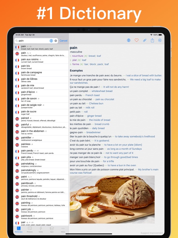 French Dictionary + © iPad screenshot