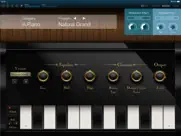 korg module ipad resimleri 4