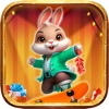 Bounce Jumpen Rabbit icon