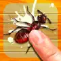 Bugs Smasher - Protect houses