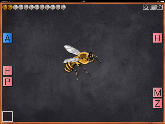 Screenshot #5 pour AbcTiger Sons Initiales