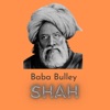 BabaBullehShah icon